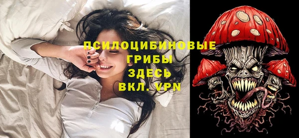 метамфетамин Козельск
